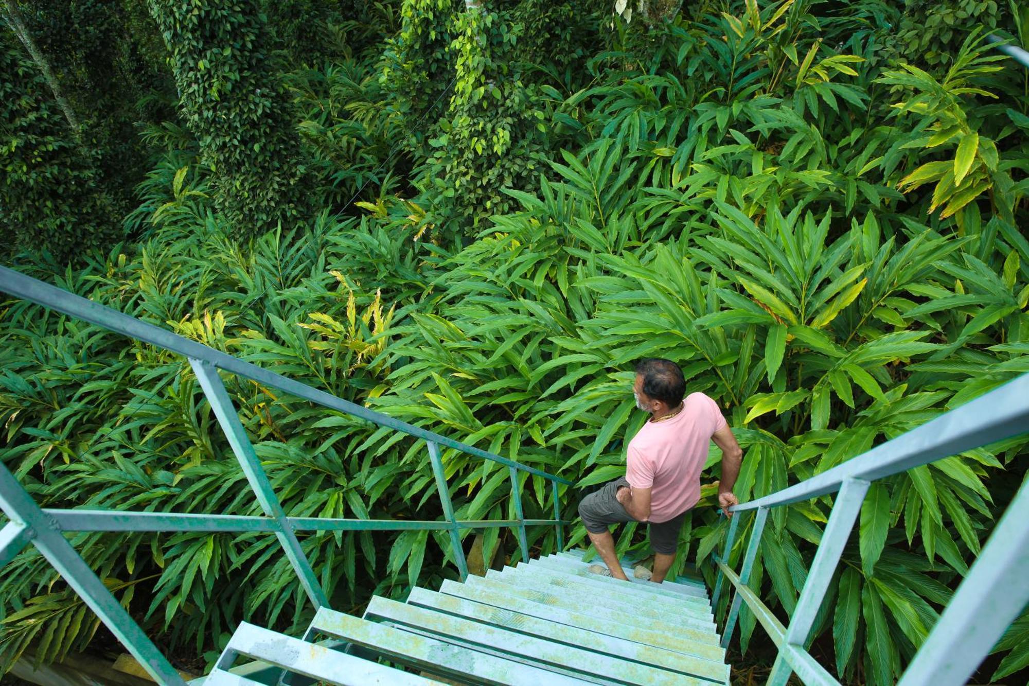 Holiday home Periyar Homes *
